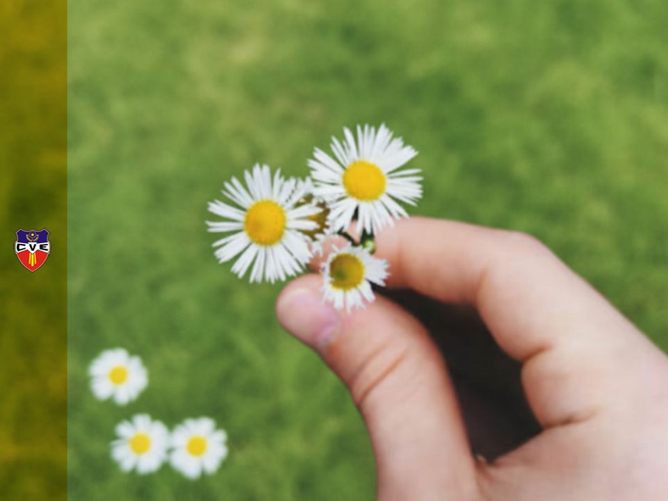 Verbo Encarnado, Colegio, Rosario, Santa Fe