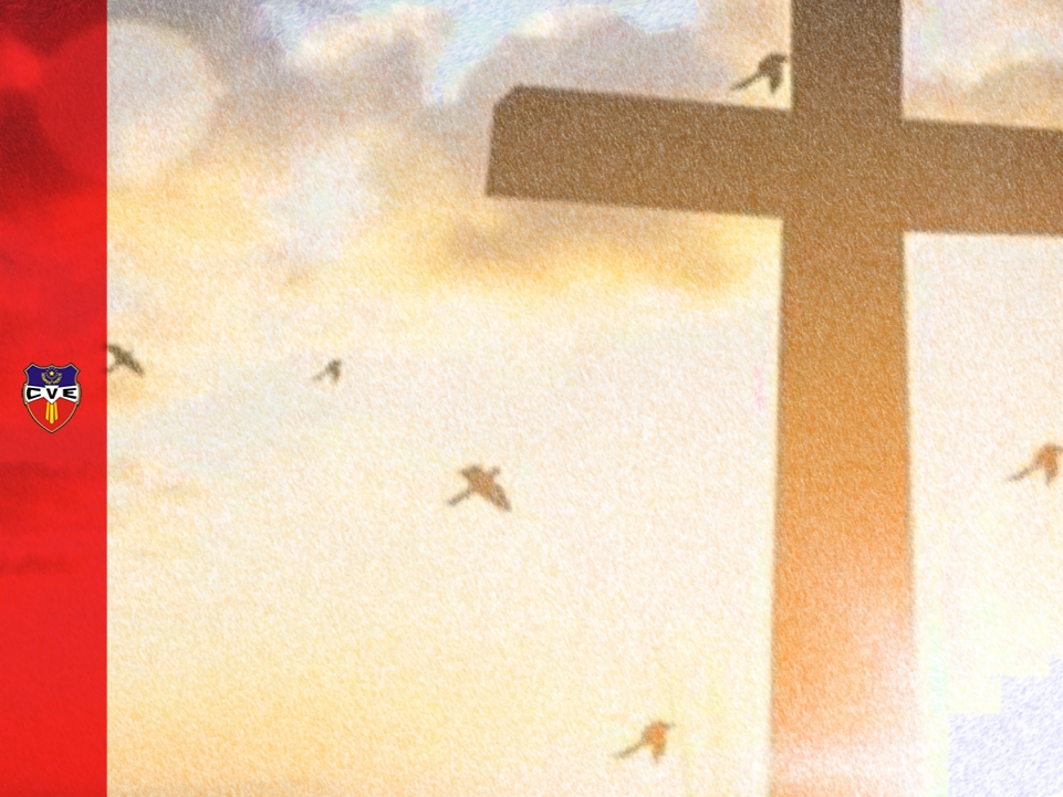 Verbo Encarnado, Colegio, Rosario, Santa Fe