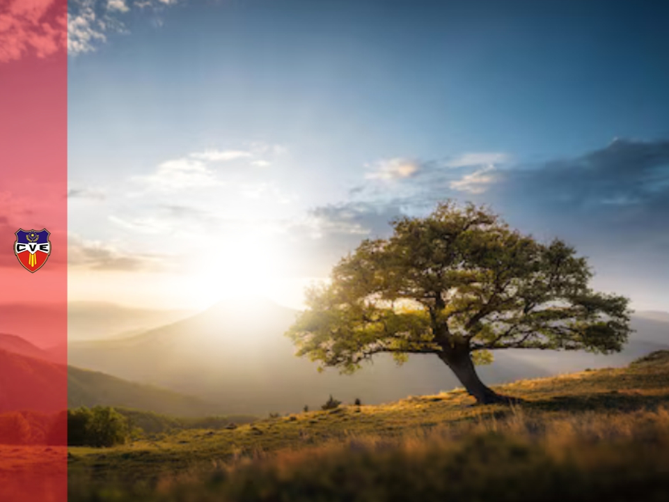 Verbo Encarnado, Colegio, Rosario, Santa Fe